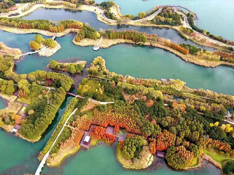 rb88随行版_官网官网入口